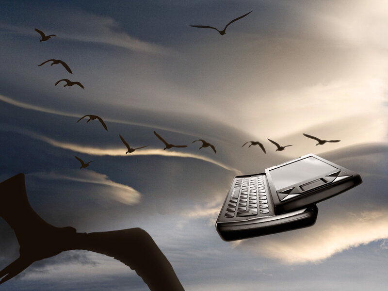 phone flying with birds