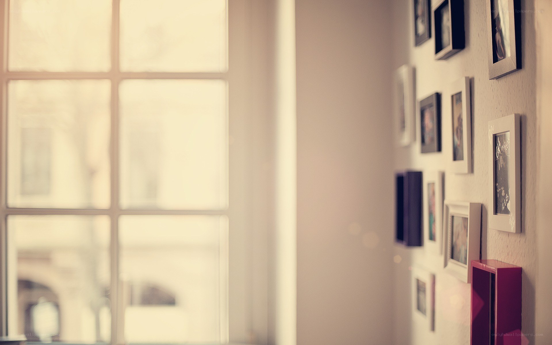 photo wall by the window