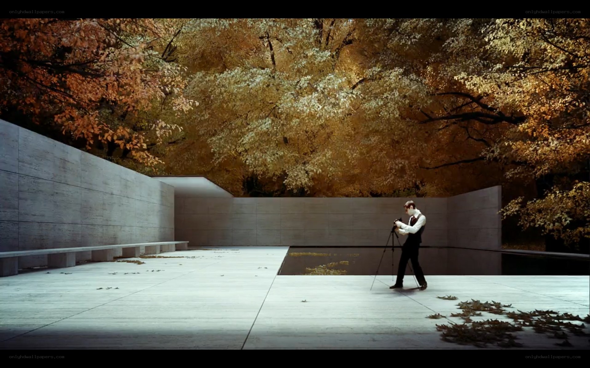 Photographer at memorial site