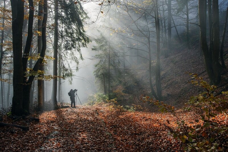 Photographer in Forest