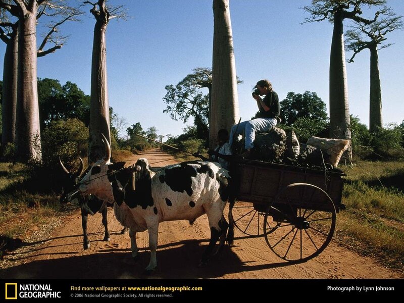 Photographer on a cart in Madagascar