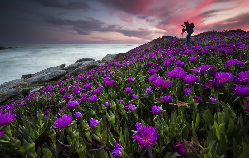 Photographer on Hillside