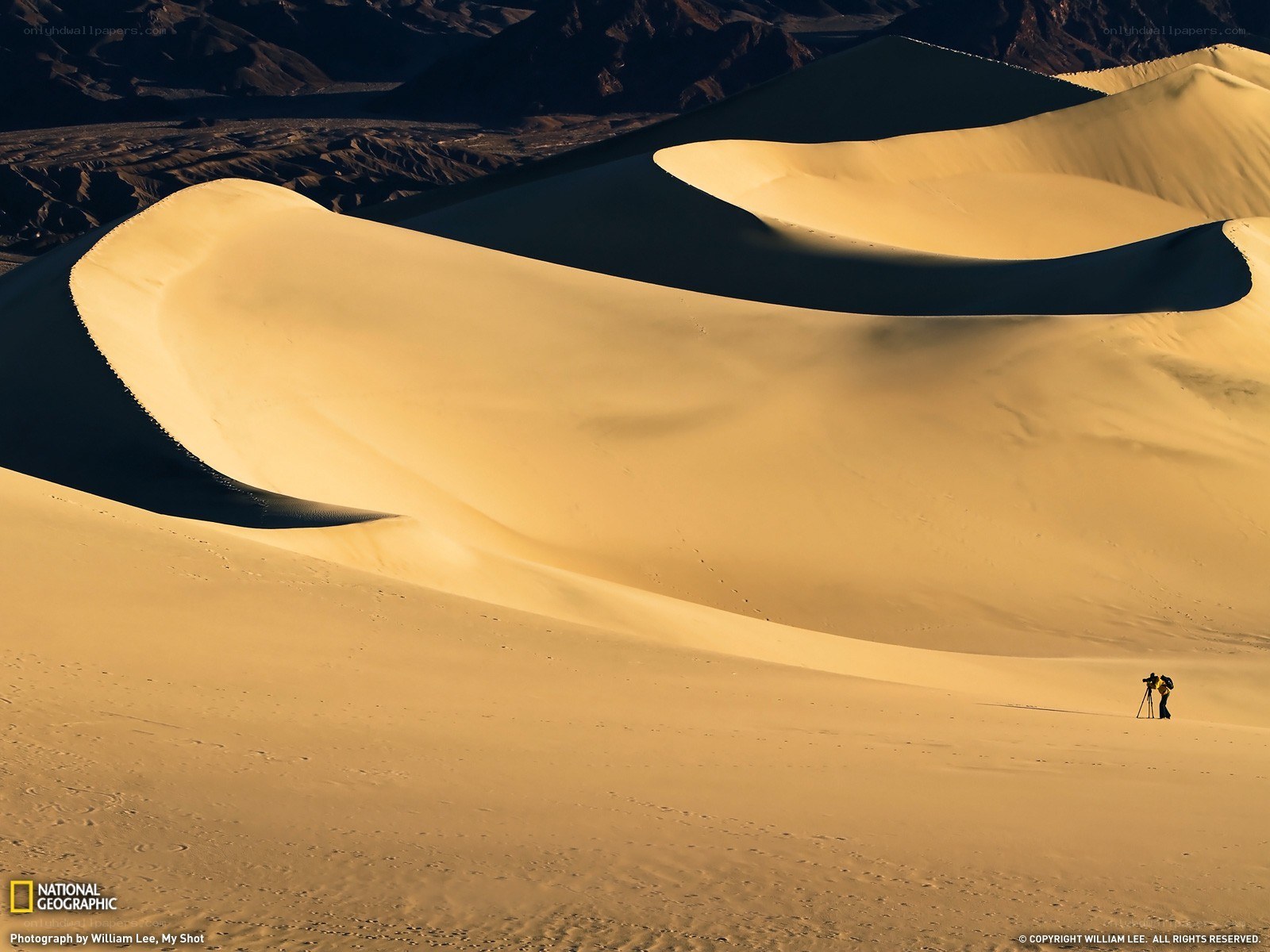 Photographer on sand dunes