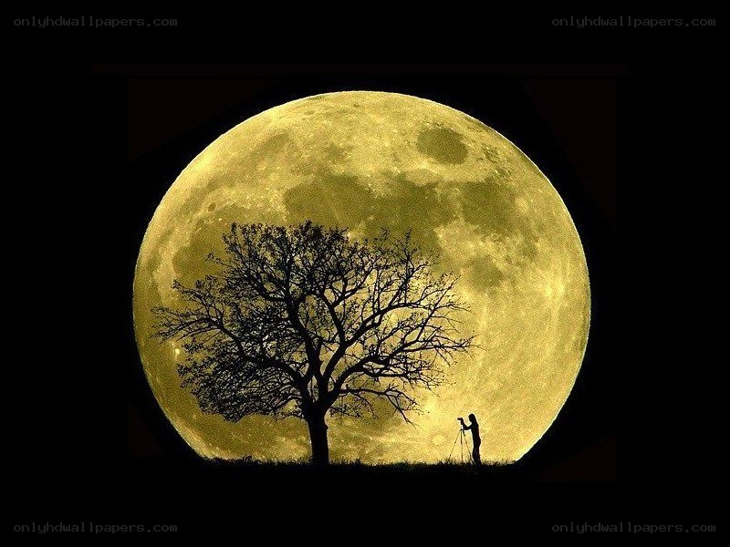 Photographer under a full moon