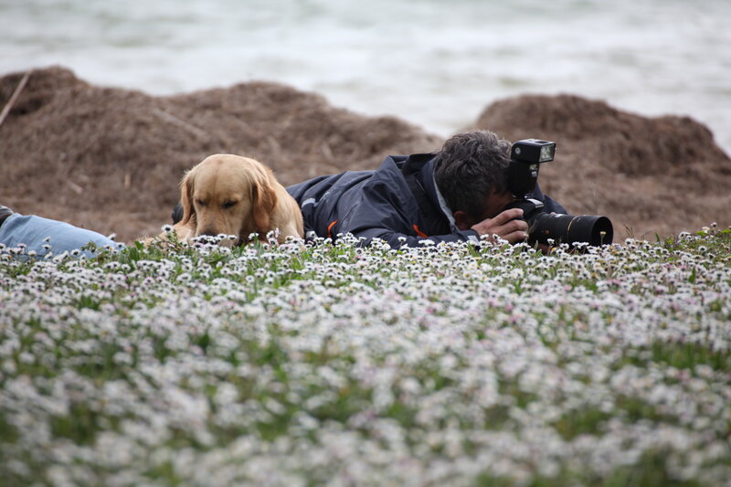 Photographer with dog in flowers