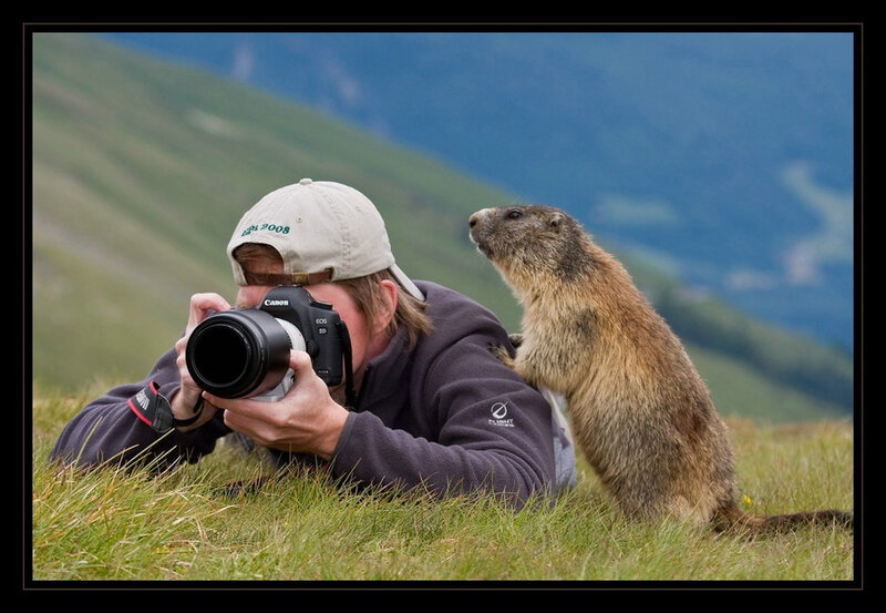 Photographer with Marmot — Green