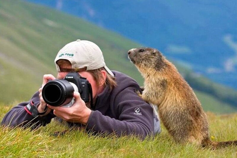 Photographer with marmot