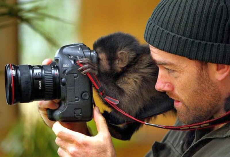 Photographer with monkey on camera