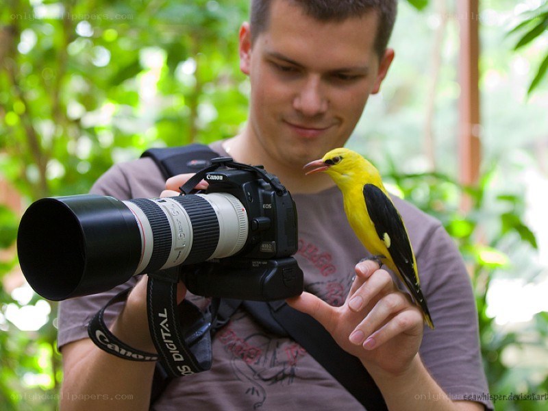 Photographer with yellow bird