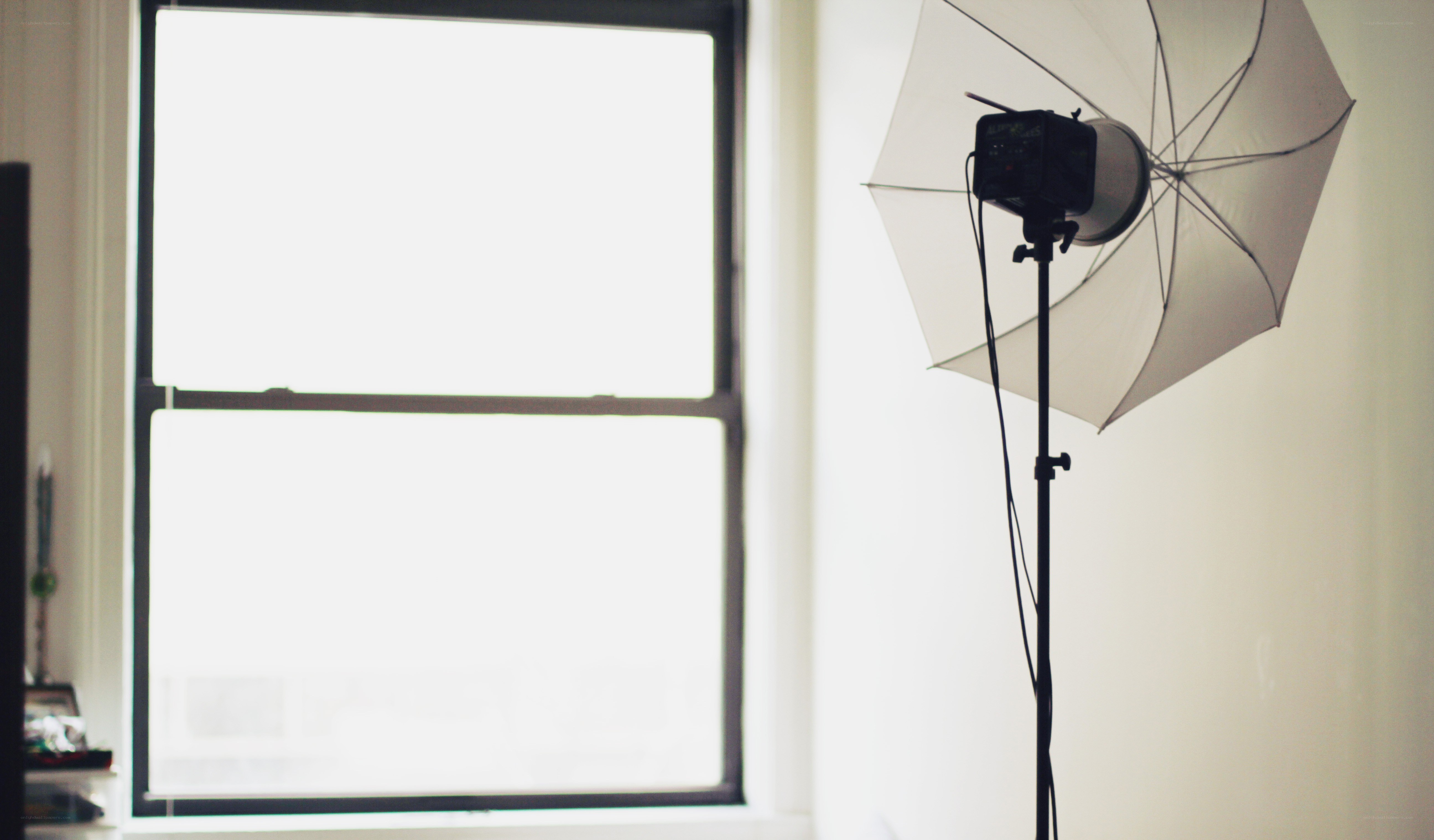 Photography studio setup