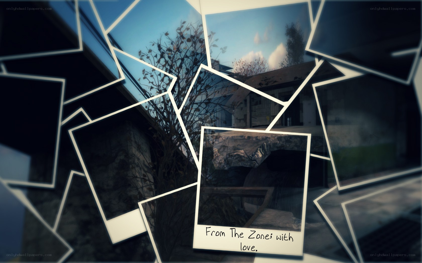 photos from the zone