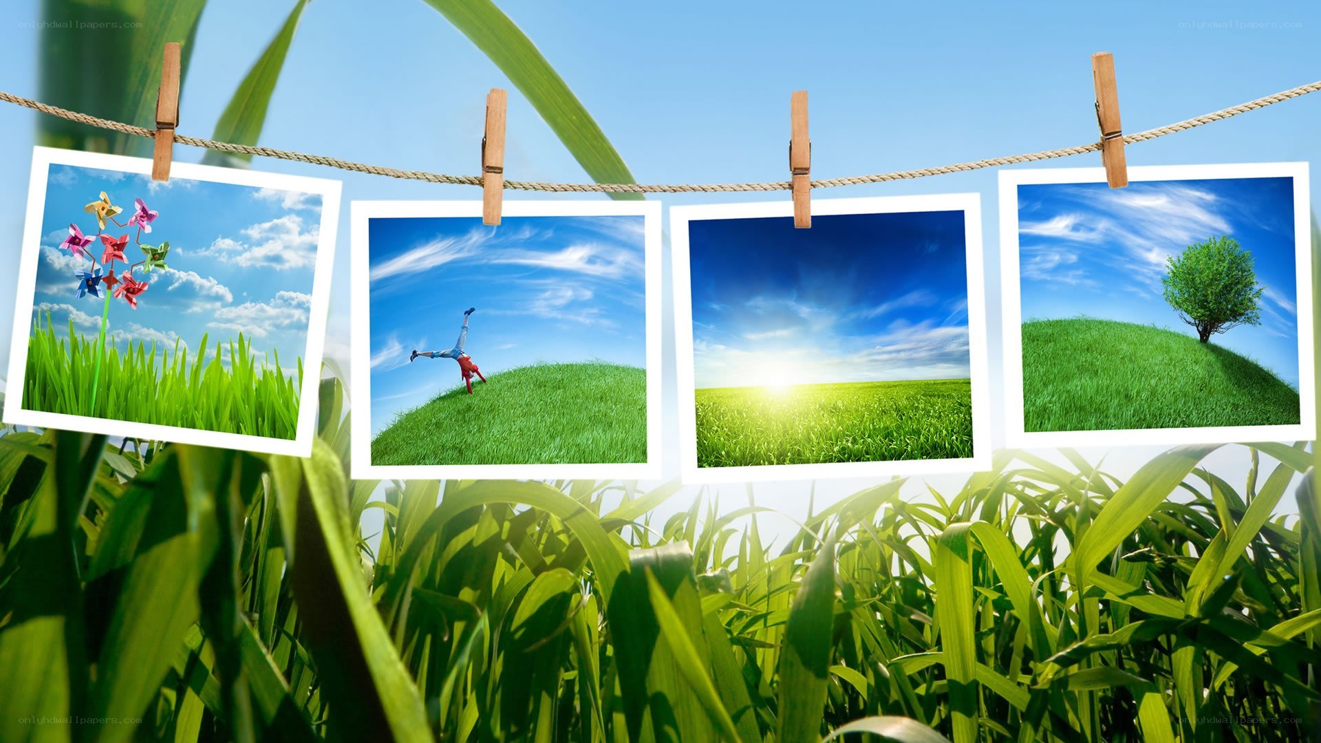 Photos on a clothesline
