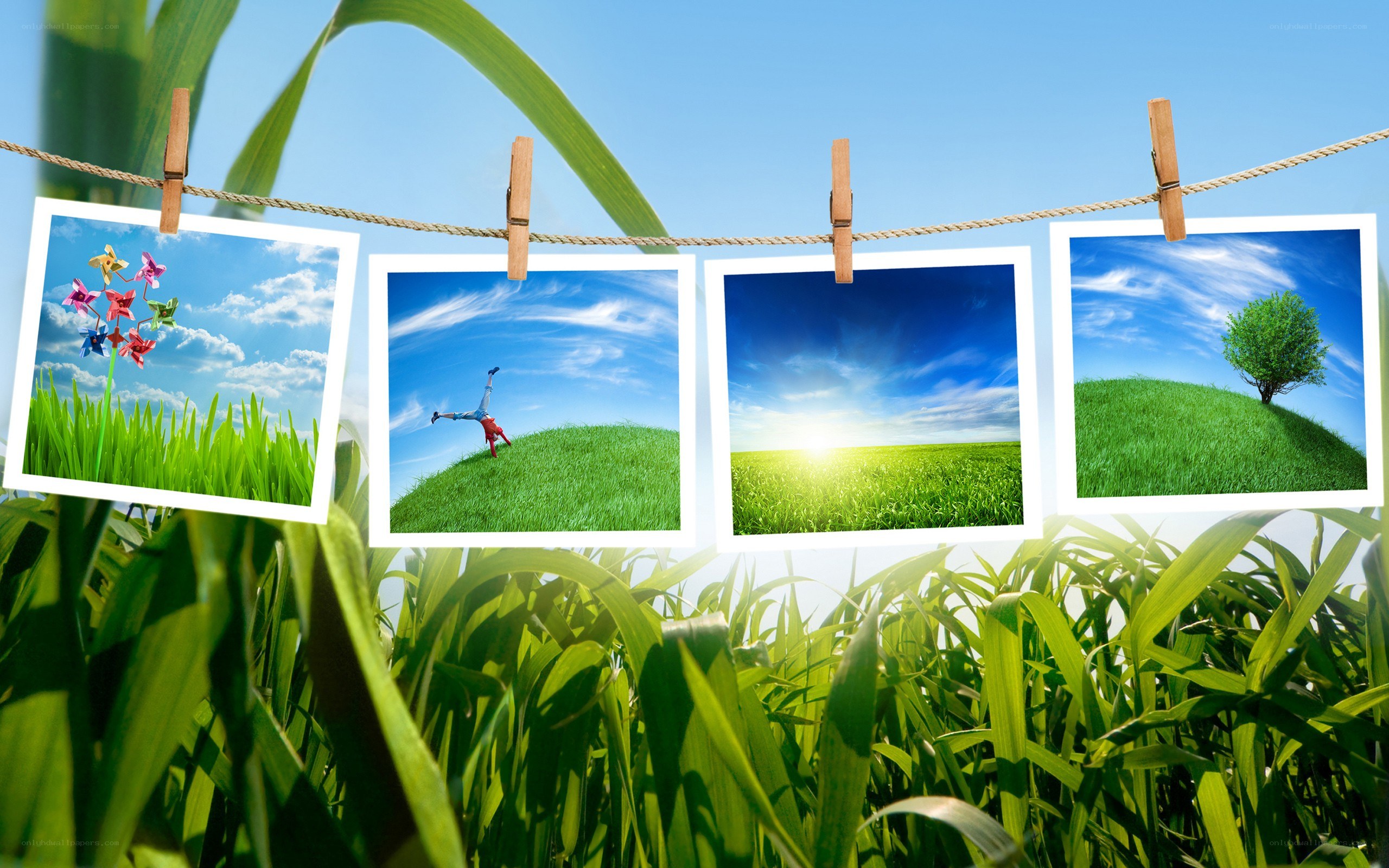 Photos on a clothesline