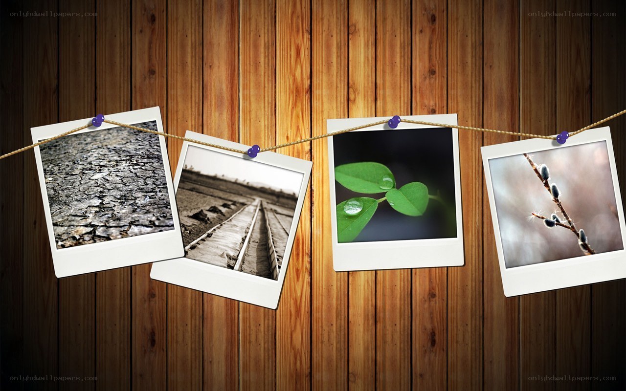 photos on a string