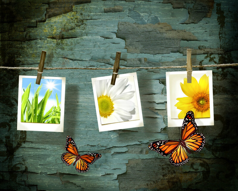 Photos on Clothesline — Blue, Serene