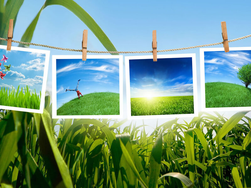 Photos on Clothesline — Green