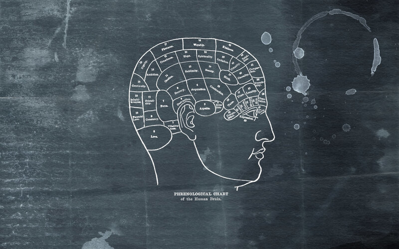Phrenological chart of the human brain