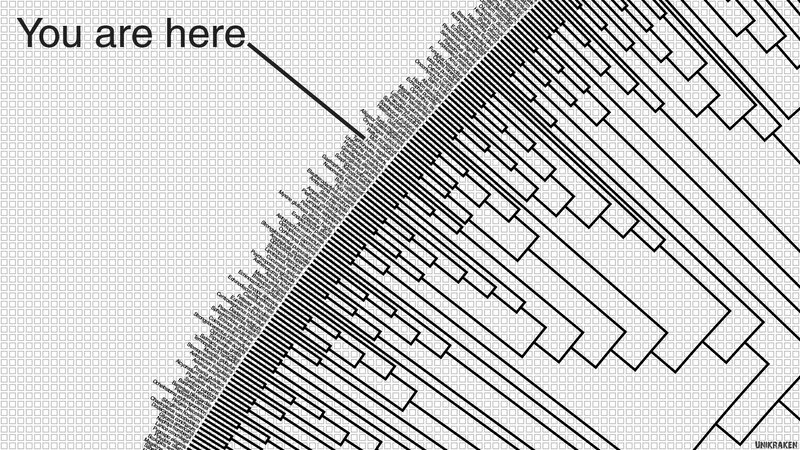 Phylogenetic Tree Diagram