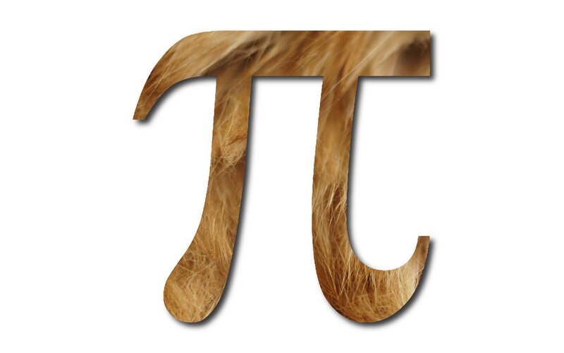 Pi symbol with hair texture