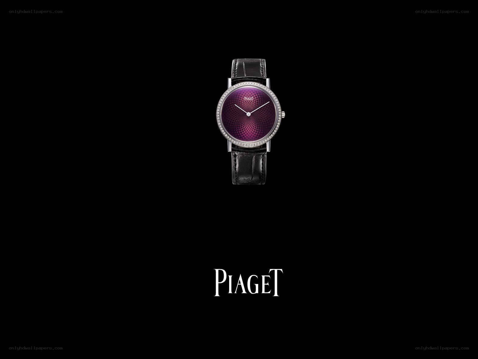 Piaget watch with purple dial