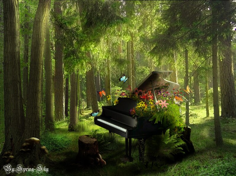 Piano in Forest