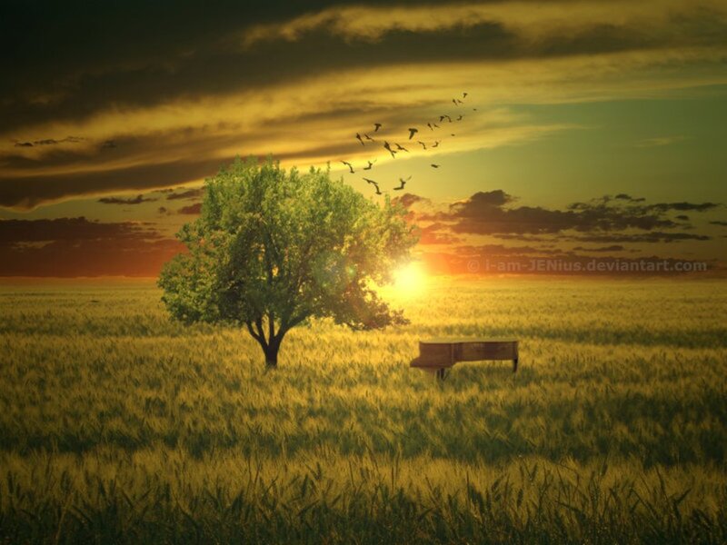 Piano in Wheat Field