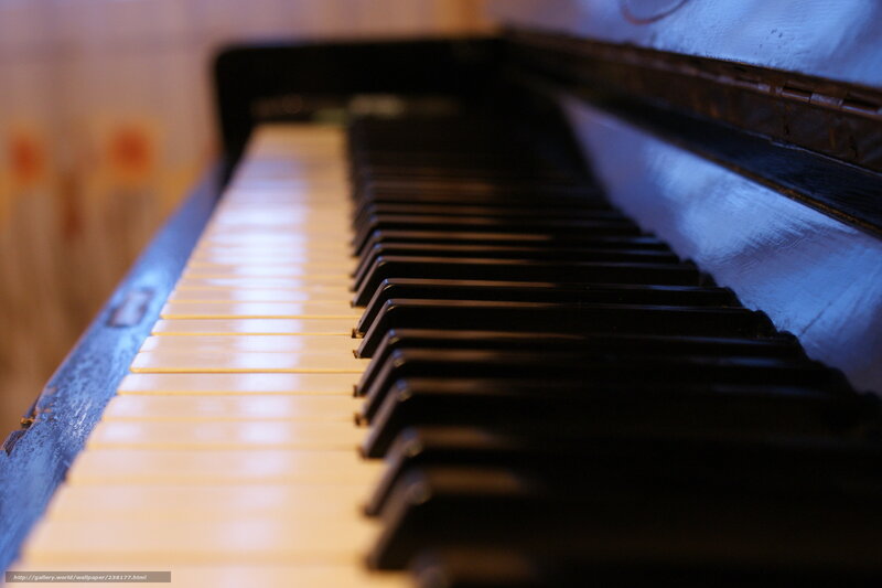 Piano Keyboard — Black, Calm, Photograph, Keys