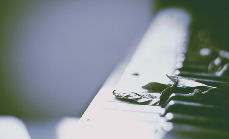 Piano Keys with Leaf