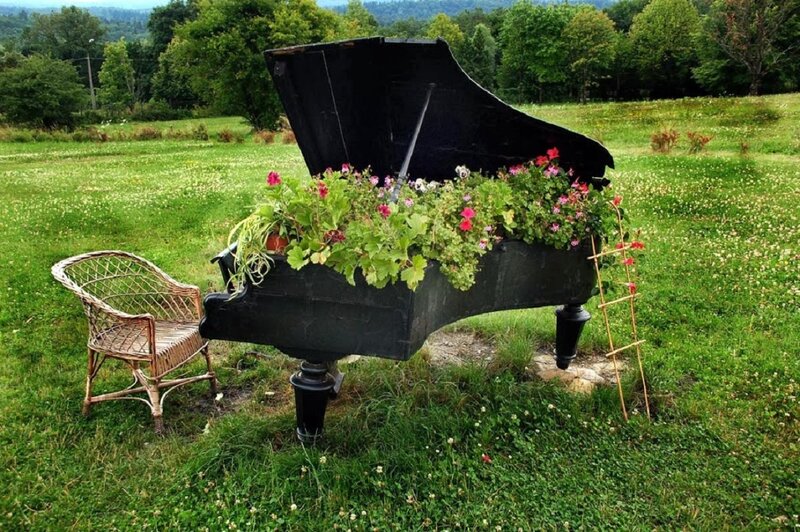 Piano Planter in Field