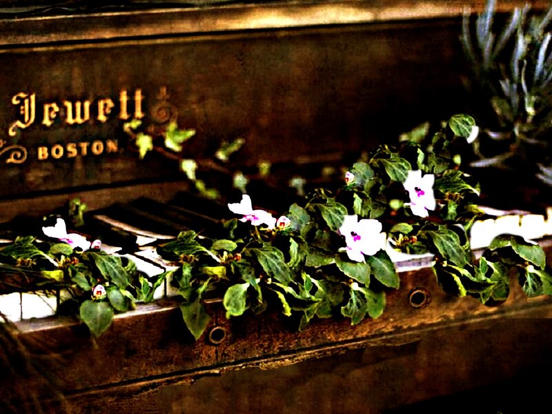 Piano with Flowers — Brown