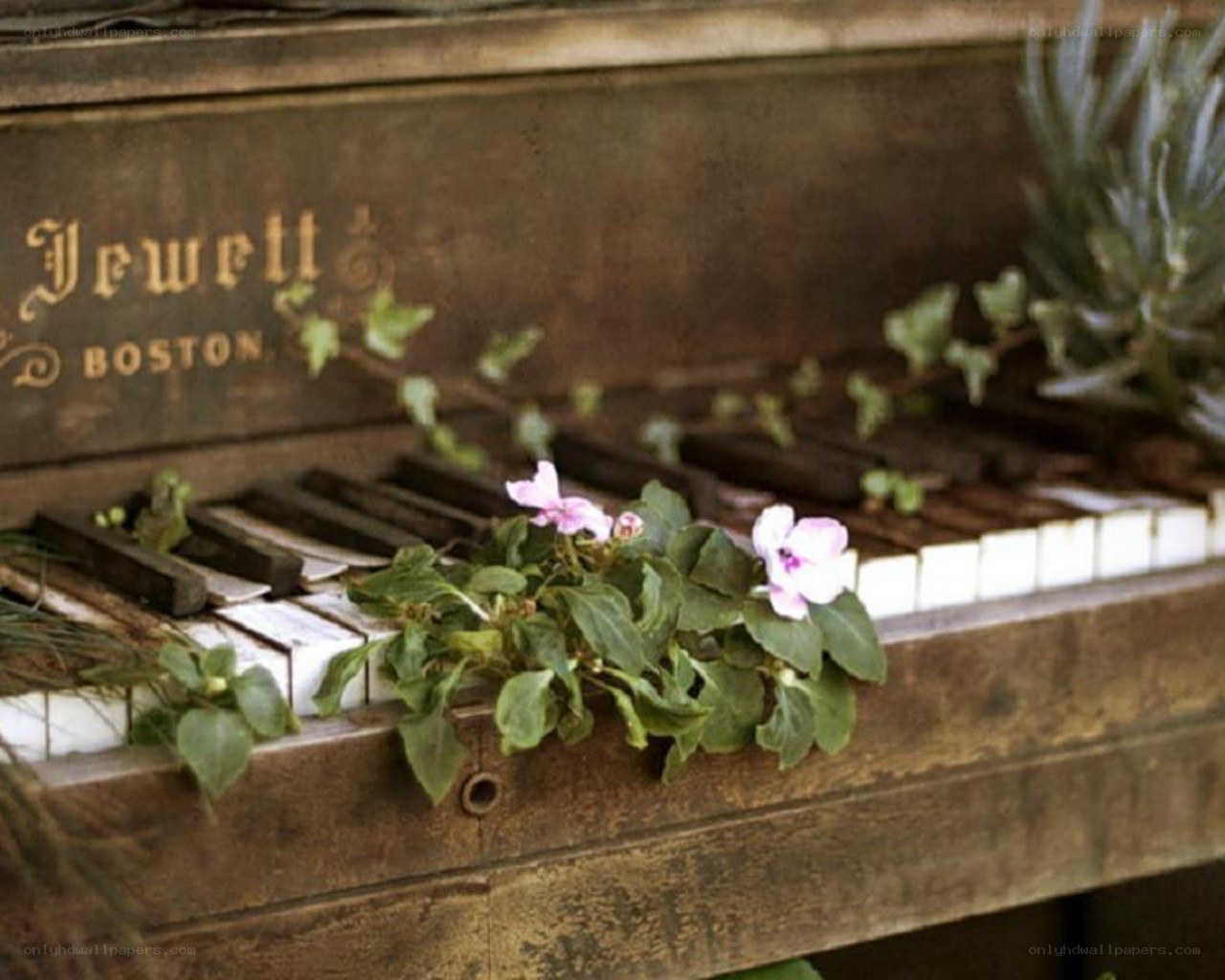 Piano with flowers growing