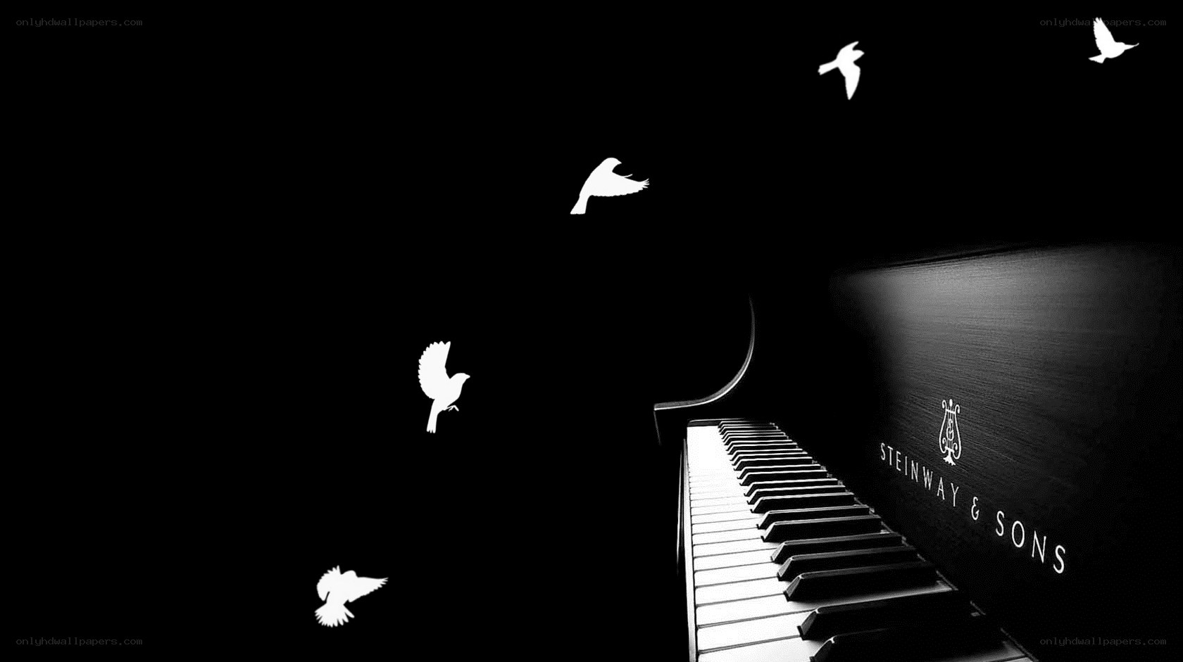 Piano with flying birds