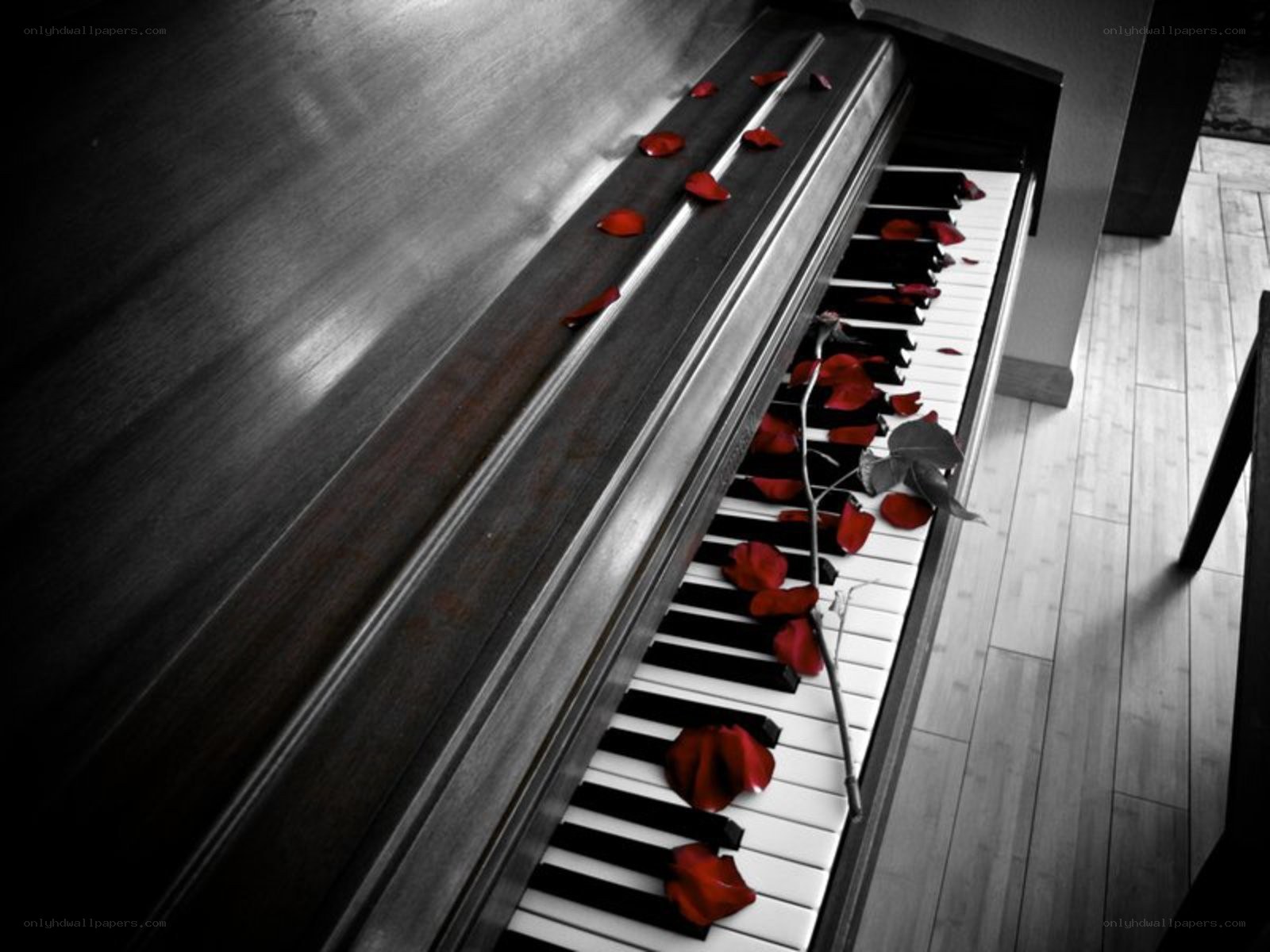 Piano with rose petals
