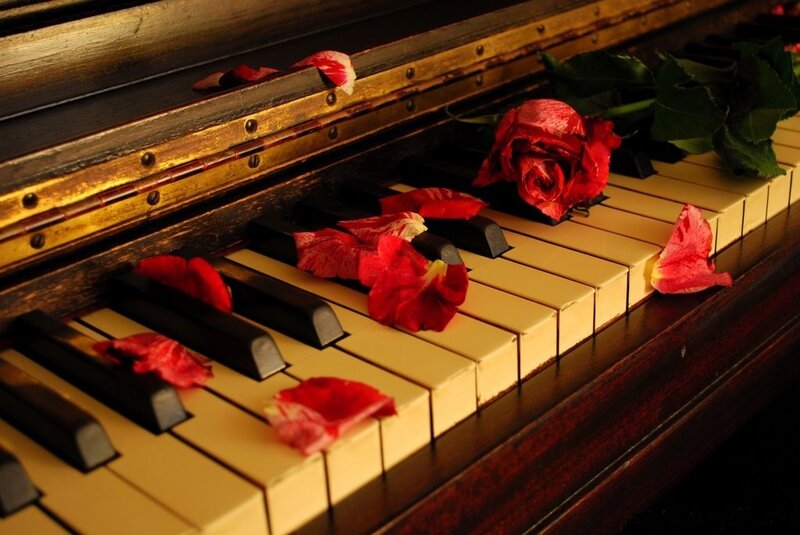 piano with rose petals