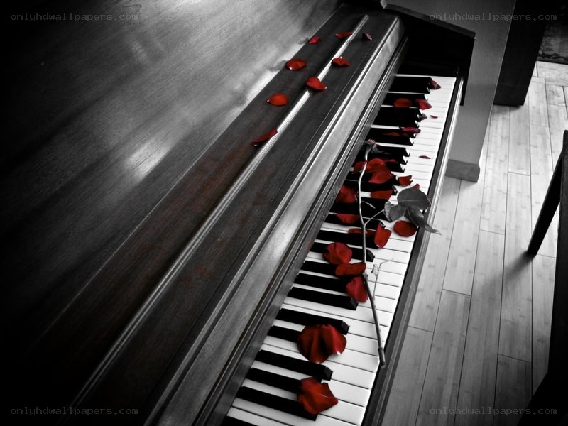 Piano with rose petals