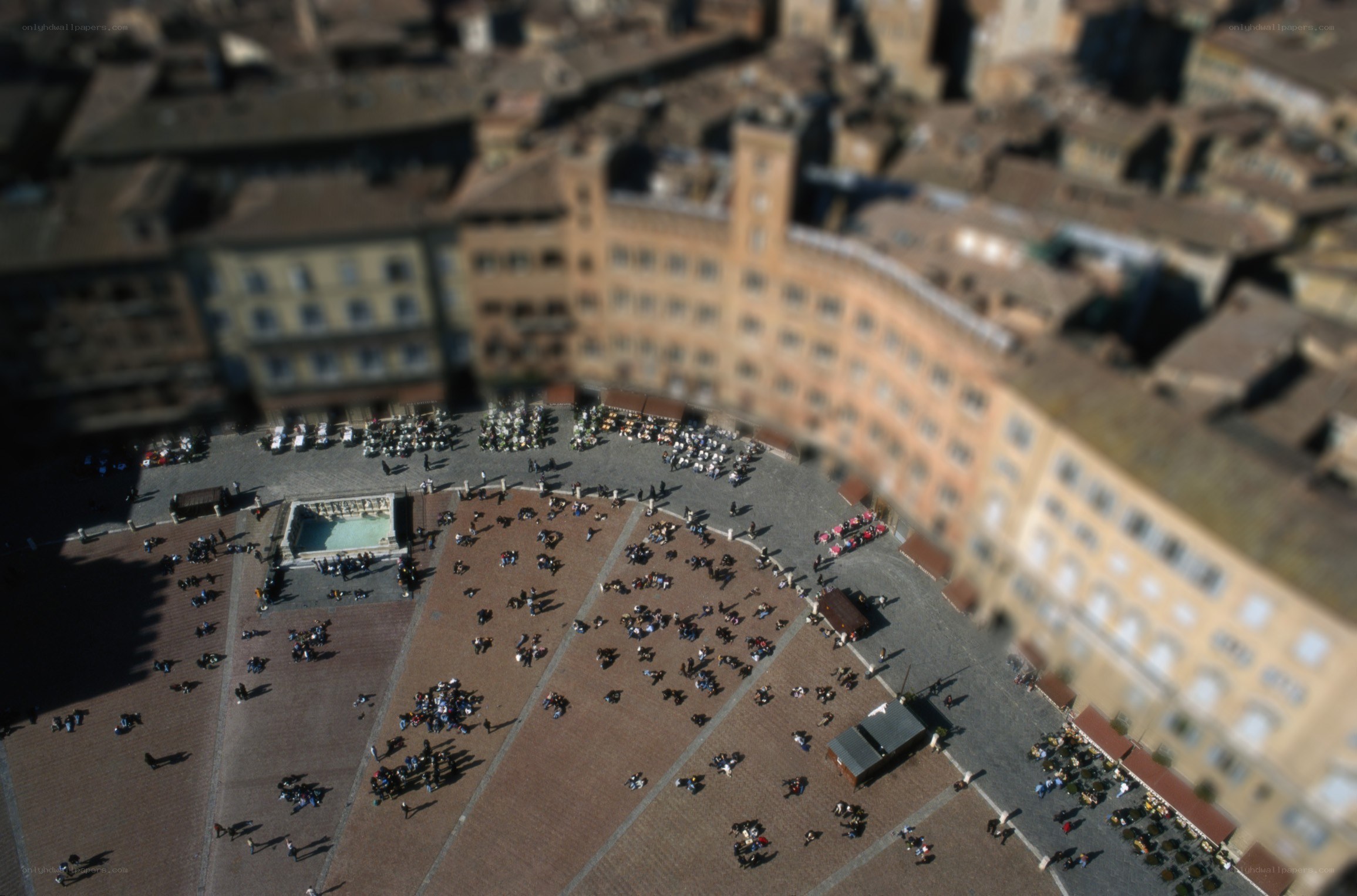 Piazza del Campo in Siena