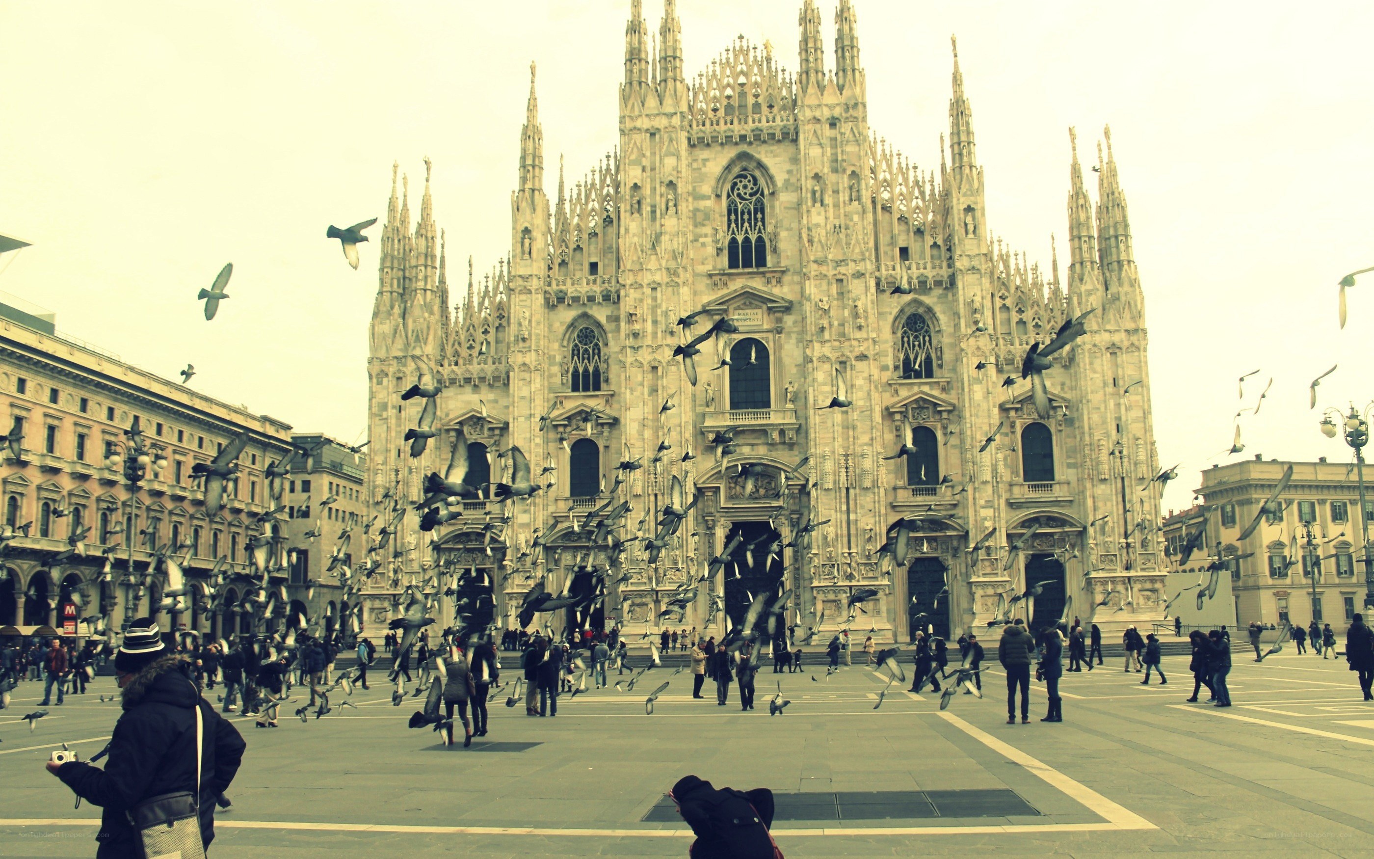 Piazza del Duomo with flying birds
