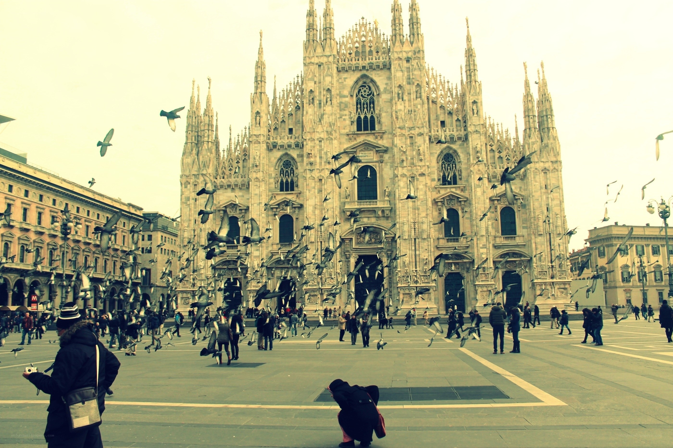 Piazza del Duomo with pigeons