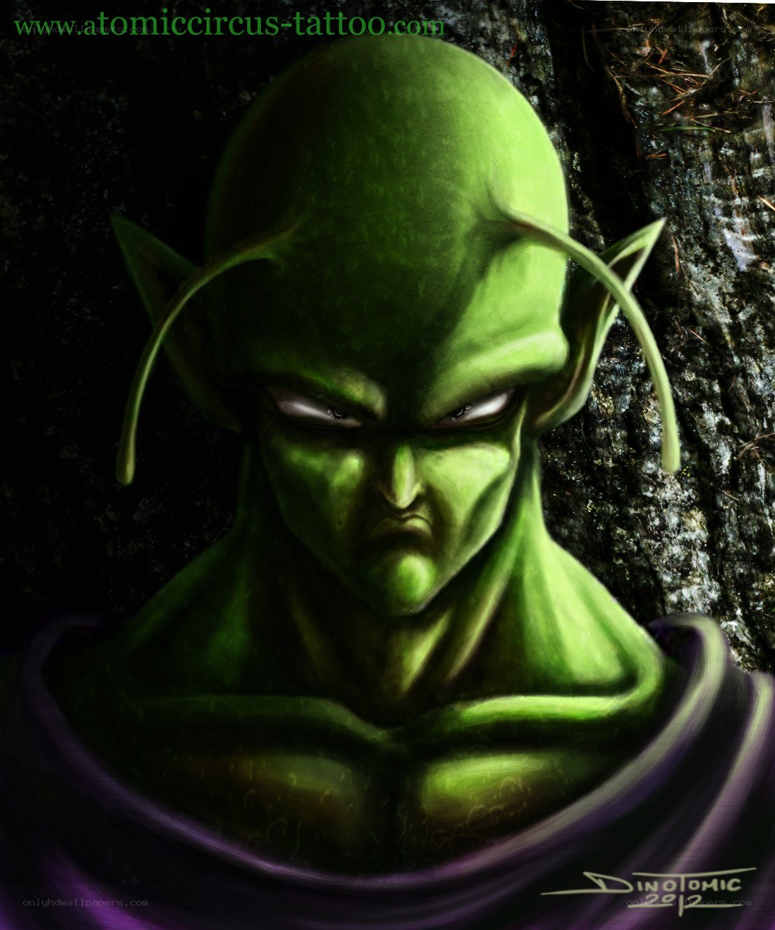 Piccolo character portrait
