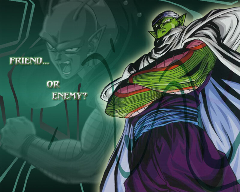 Piccolo: Friend or Enemy?