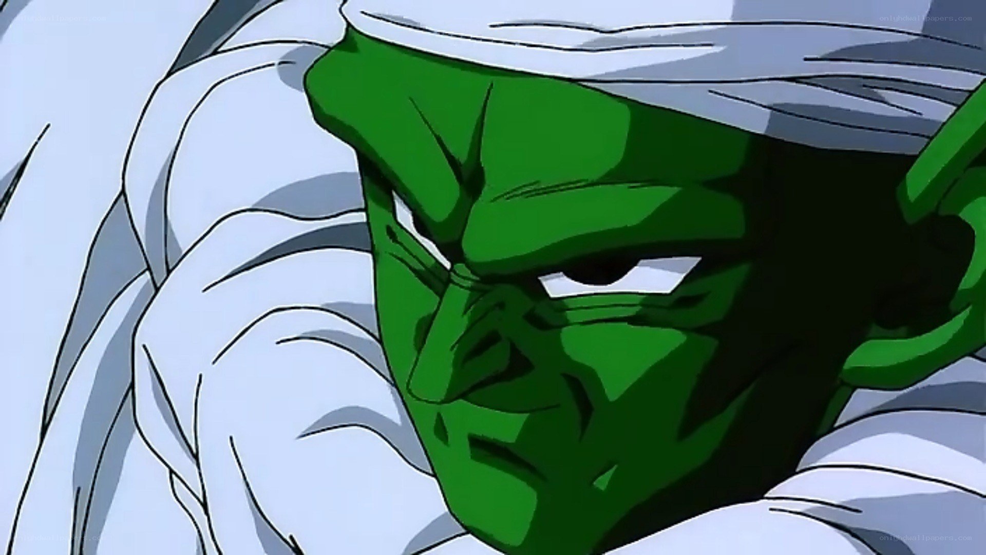 Piccolo in a battle stance