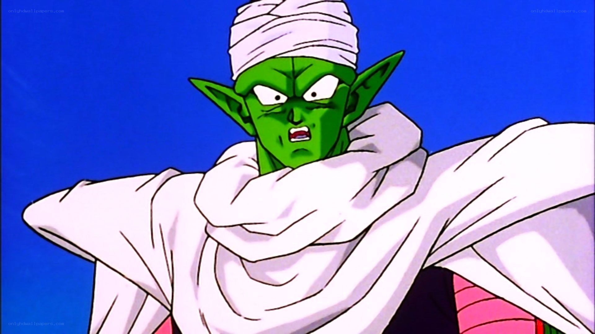 Piccolo in a battle stance