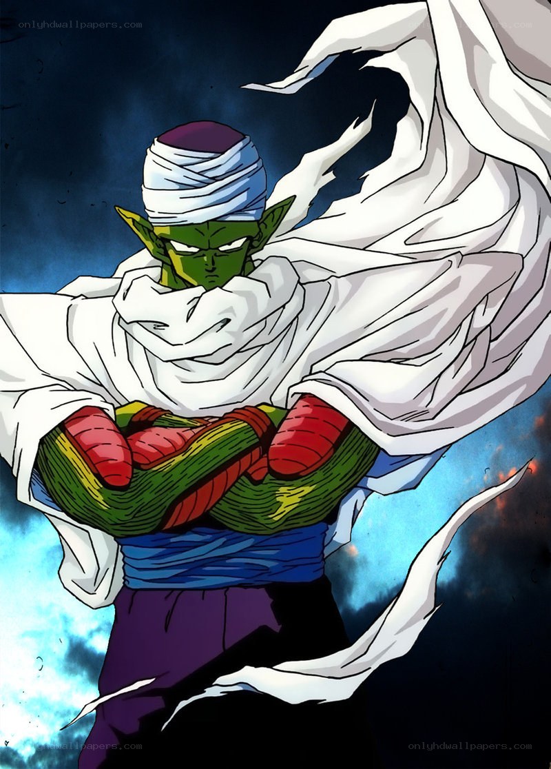 Piccolo in battle stance