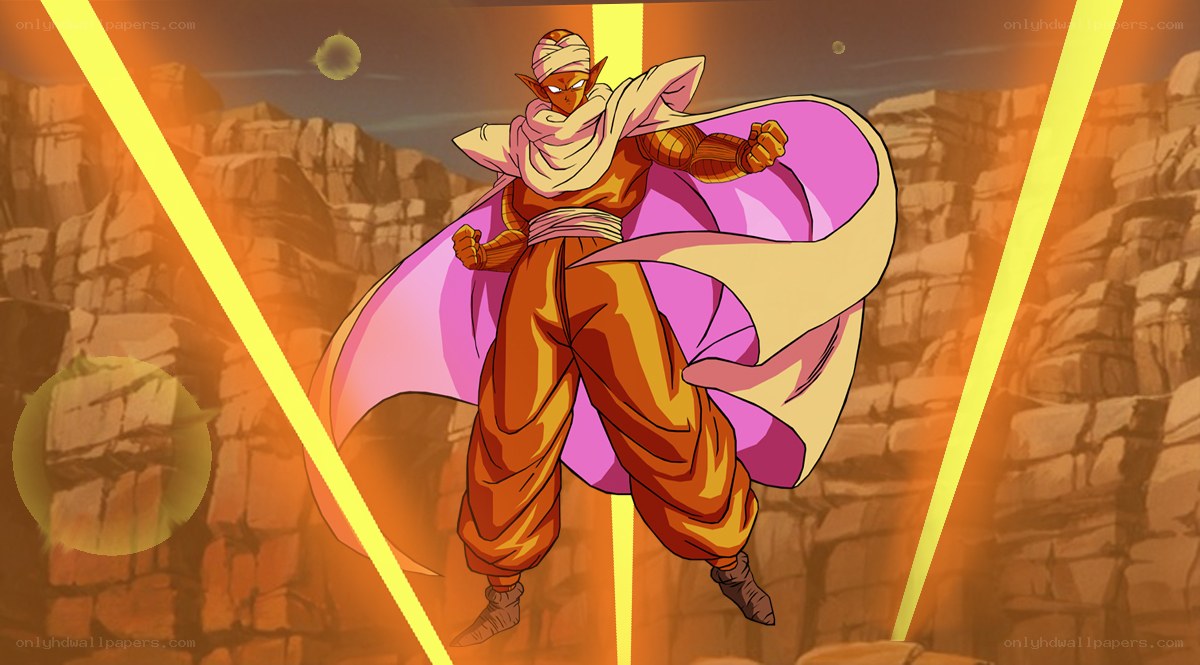 Piccolo in battle stance