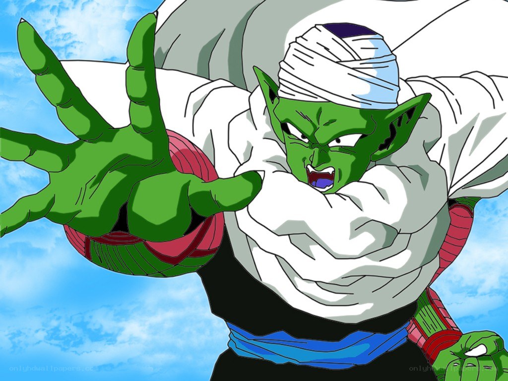 Piccolo in battle stance