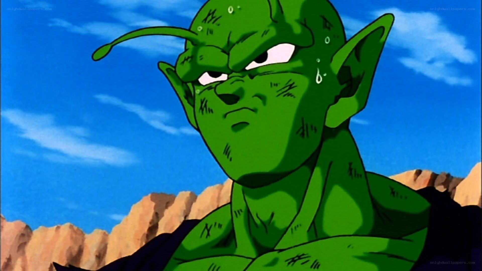 Piccolo in battle