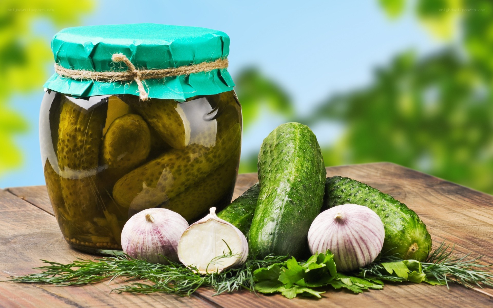 Pickled cucumbers in a jar