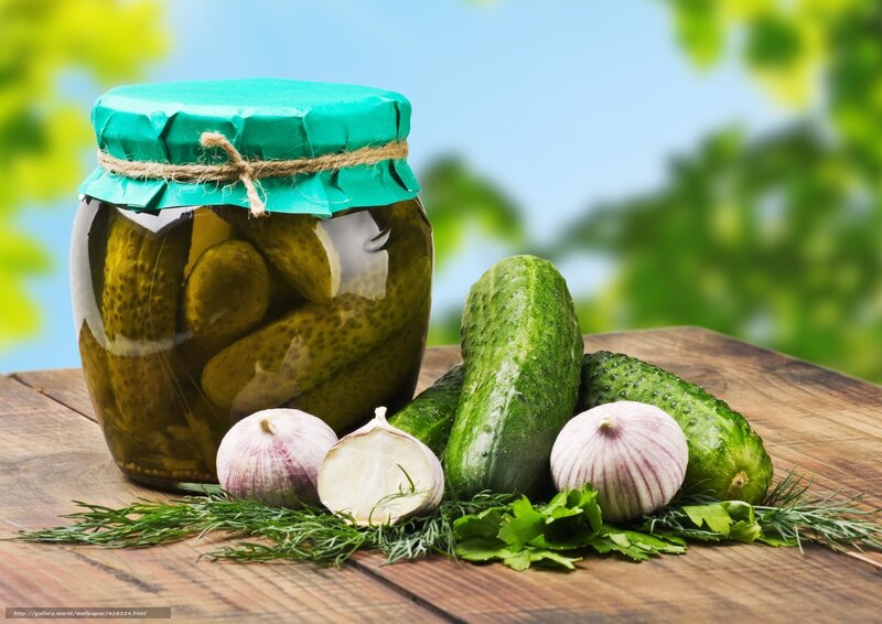Pickled cucumbers with fresh ingredients