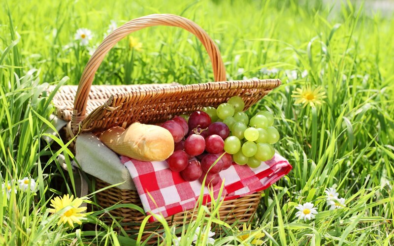 Picnic Basket in Grass — Green, Serene