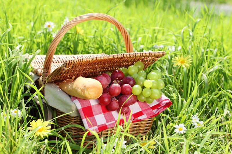 Picnic Basket in Grass — Green